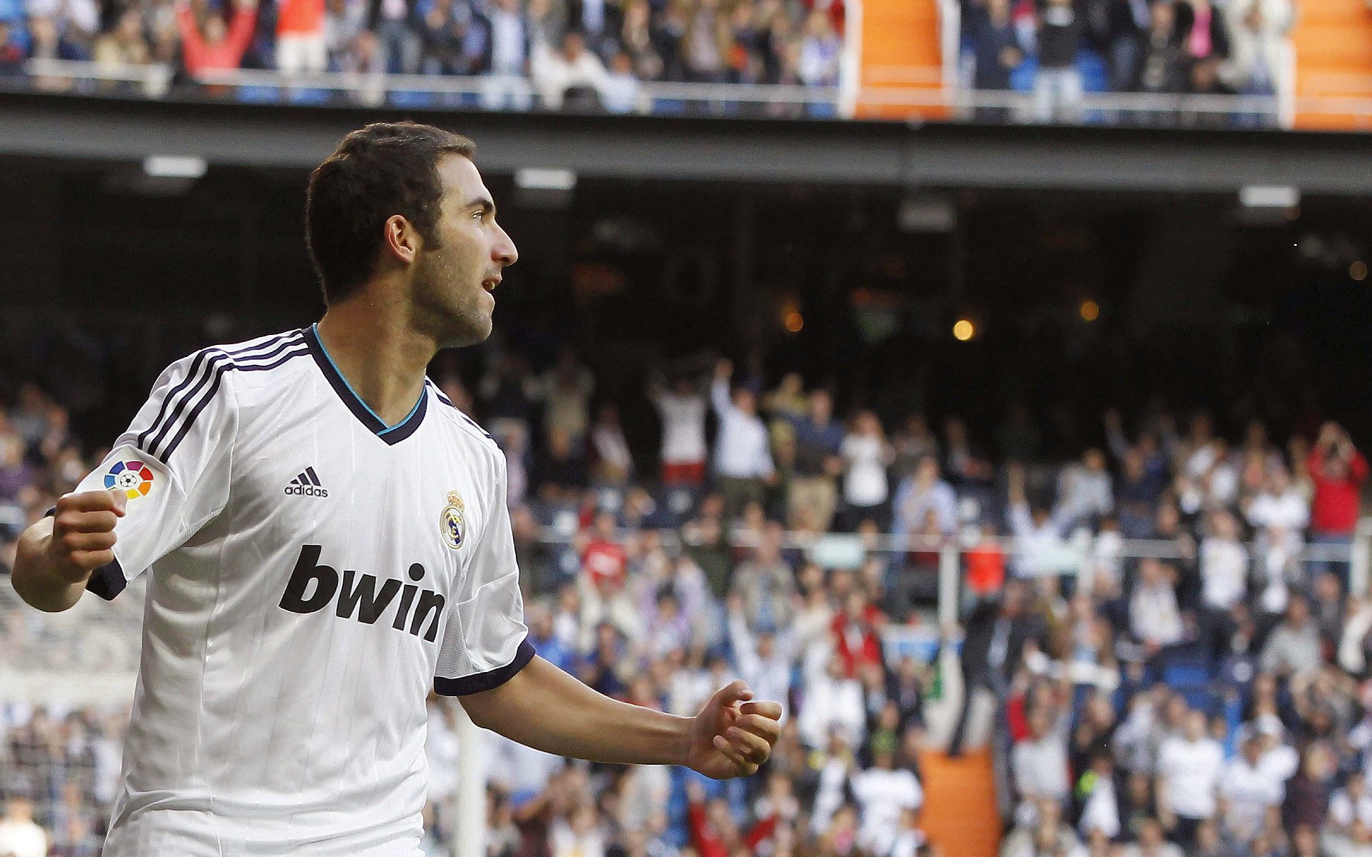 女足世界杯关注度激增，引发社会热议，女足世界杯扩军