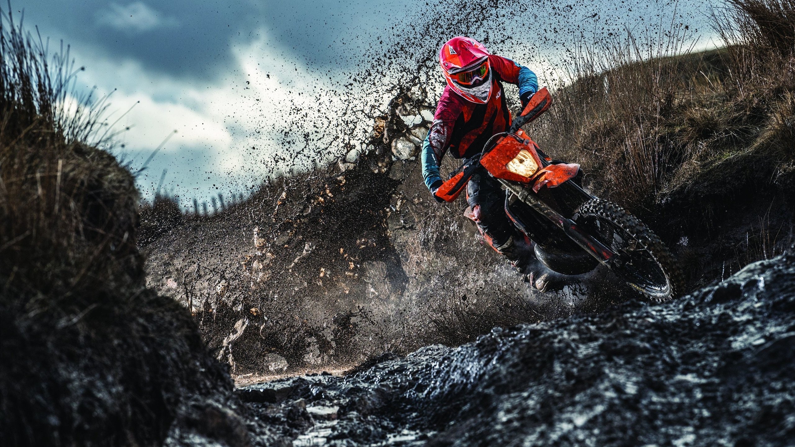 森林狼主场连败士气受挫，森林狼连胜