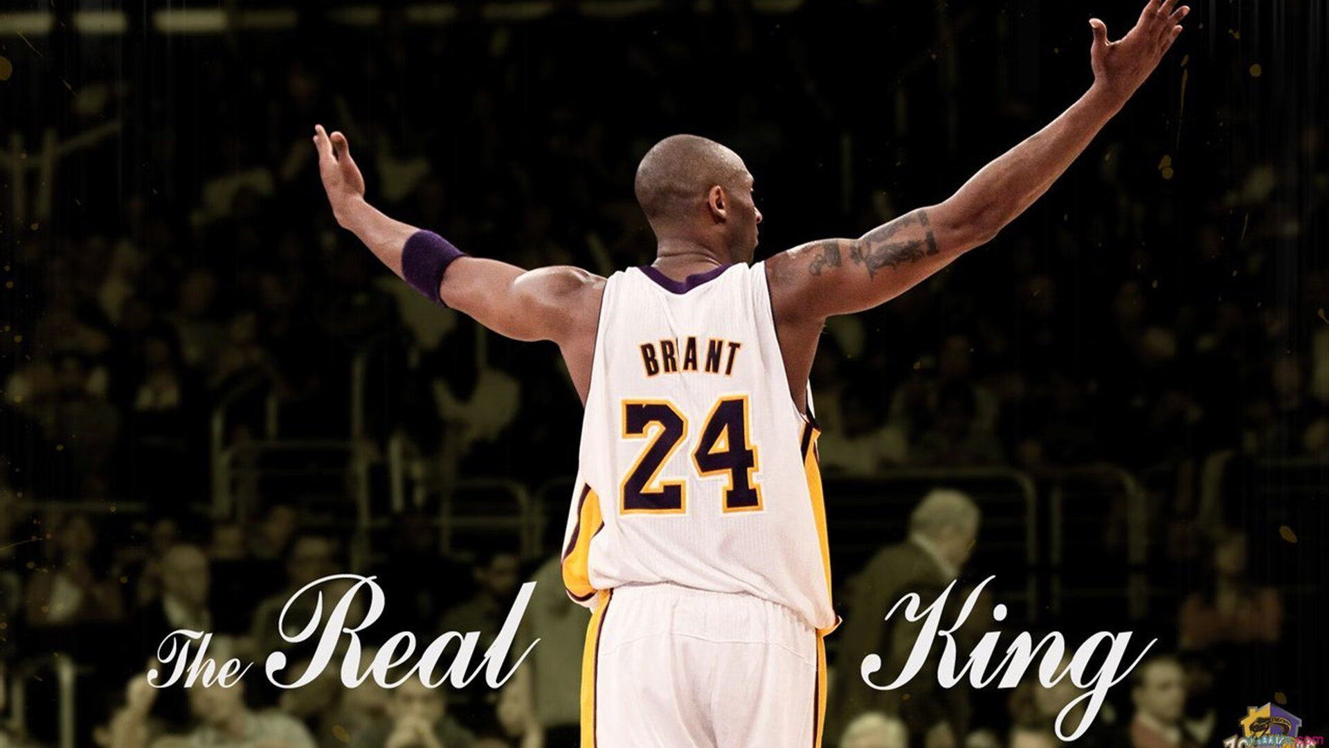 乌鸦的节奏太快了，进攻组打得行云流水，乌鸦攻击什么